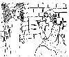 BBible12.JPG (584136 bytes)