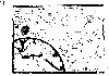 Bible01.JPG (1058672 bytes)