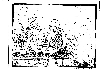 Bible07.JPG (1575074 bytes)