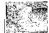 Bible09.JPG (2075842 bytes)