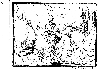 Bible10.JPG (1798228 bytes)