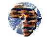 afriCam02.jpg (150240 bytes)