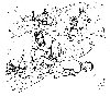 10D.JPG (205025 bytes)