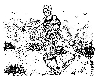 10G.JPG (306551 bytes)