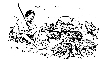 10I.JPG (193327 bytes)