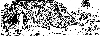 10KK.JPG (643804 bytes)