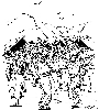 10N.JPG (313257 bytes)