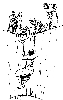 10O.JPG (142255 bytes)